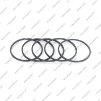 Комплект уплотнительных колец (5шт.)