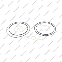 Комплект уплотнительных колец (11шт.)*
