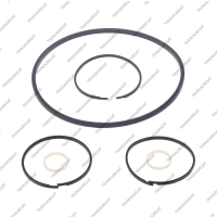 Комплект уплотнительных колец (6шт.)
