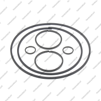 Комплект уплотнительных колец (6шт.)