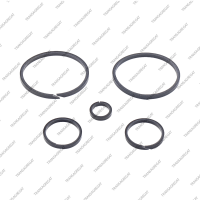 Комплект уплотнительных колец (Gen 1/2, 1999-up, 5шт.)