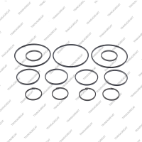 Комплект уплотнительных колец (13шт.)