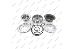 Ремкомплект шкивов (с уплотнительными кольцами и шариками)*